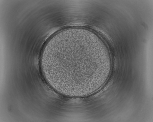 X0000110941162200907101241