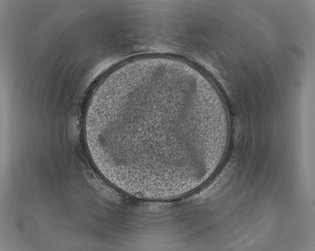 X0000110941163200907101241