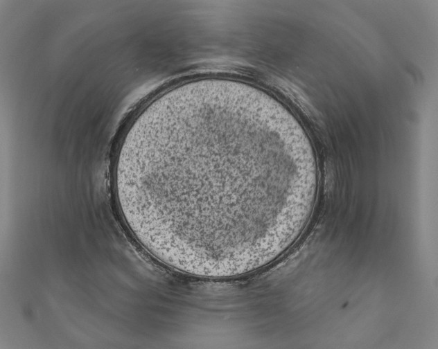 X0000110941164200907101241