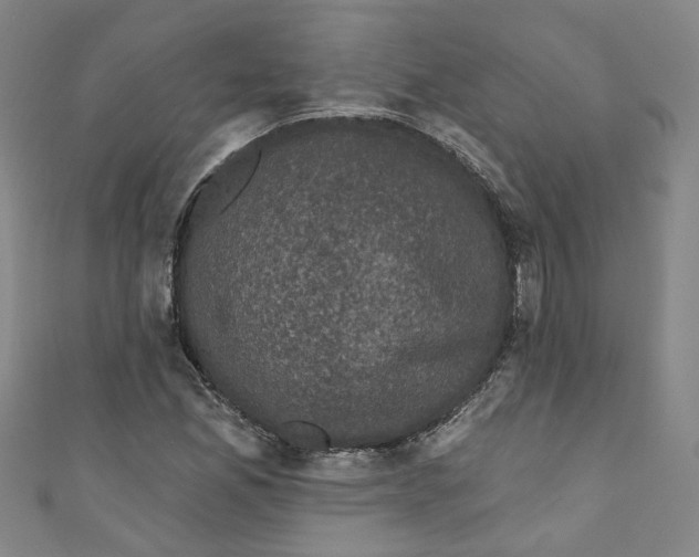 X0000110941165200907101241