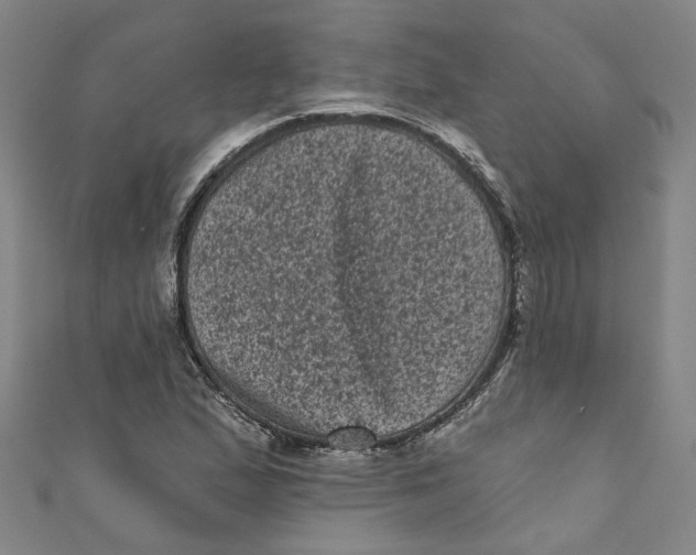 X0000110941167200907101241