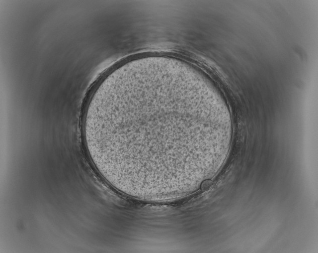 X0000110941168200907101241