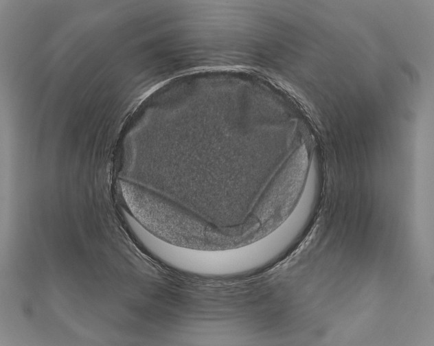 X0000110941169200907101241