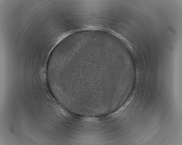 X0000110941170200907101241