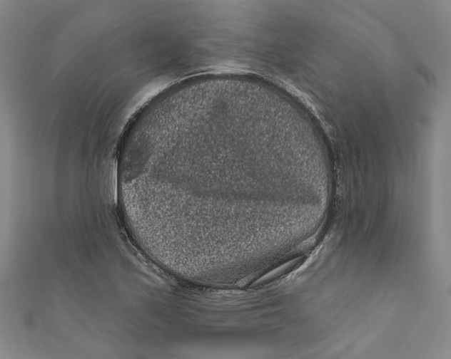 X0000110941171200907101241