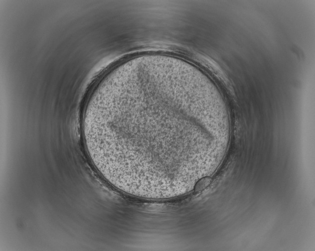 X0000110941172200907101241