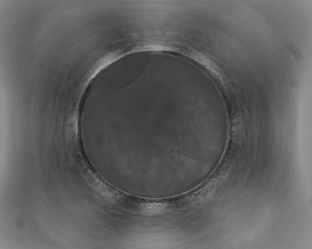 X0000110941173200907101241