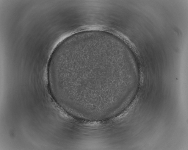 X0000110941174200907101241