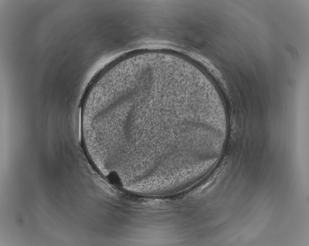 X0000110941175200907101241