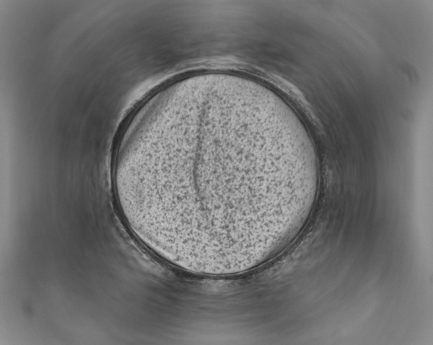 X0000110941176200907101241