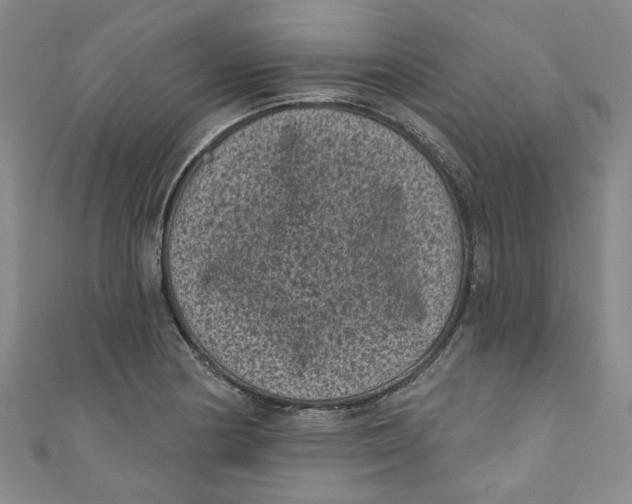 X0000110941178200907101241