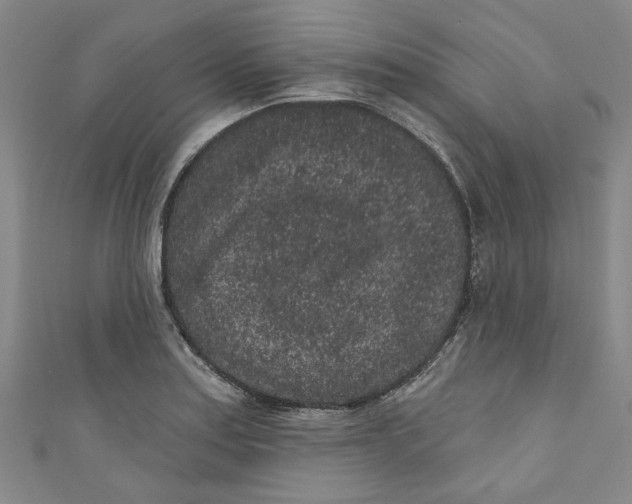 X0000110941179200907101241