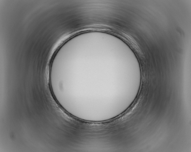 X0000110941180200907101241