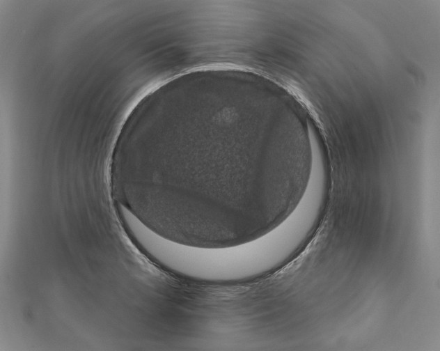 X0000110941181200907101241