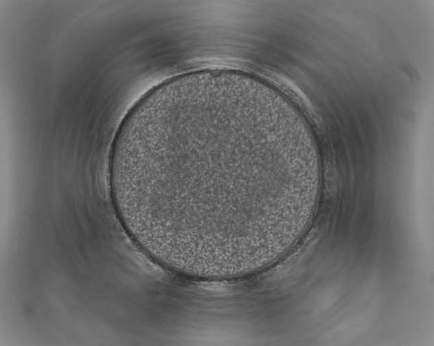 X0000110941182200907101241