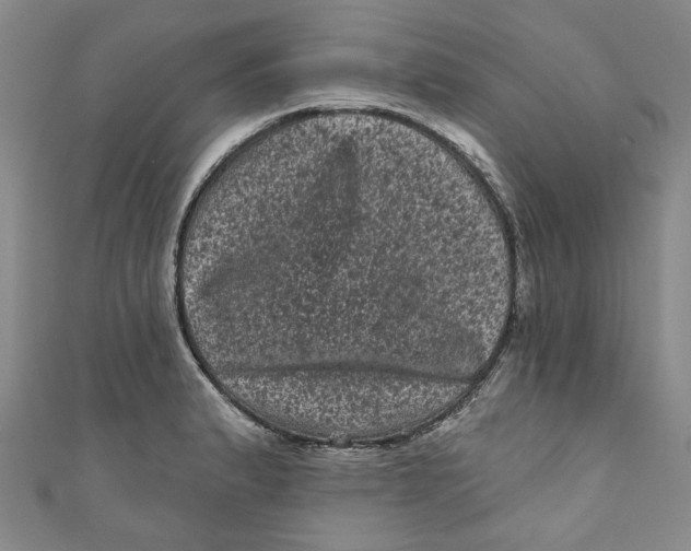 X0000110941183200907101241