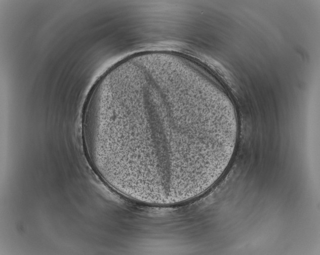 X0000110941184200907101241