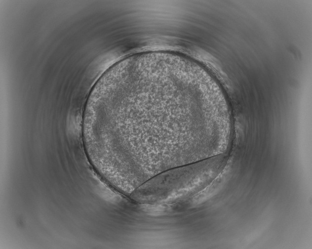 X0000110941185200907101241