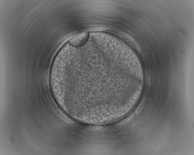 X0000110941186200907101241