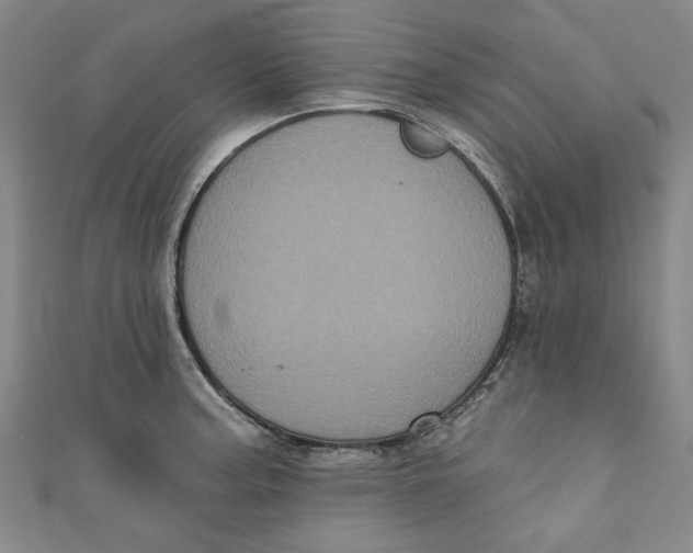 X0000110941187200907101241