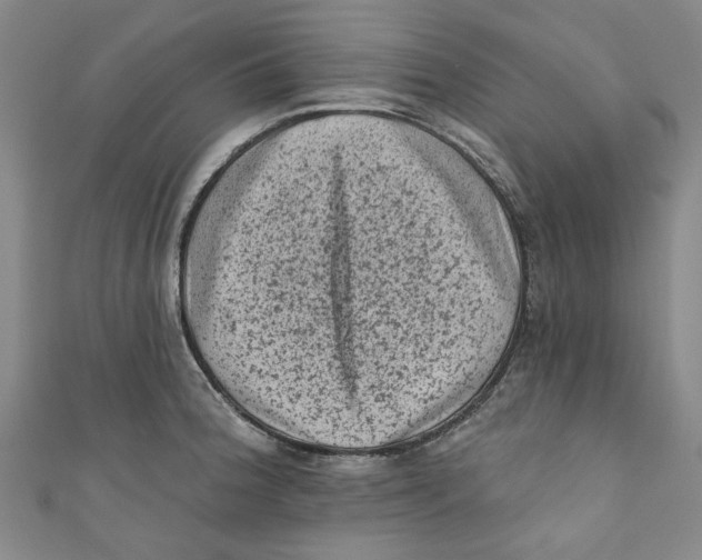 X0000110941188200907101241