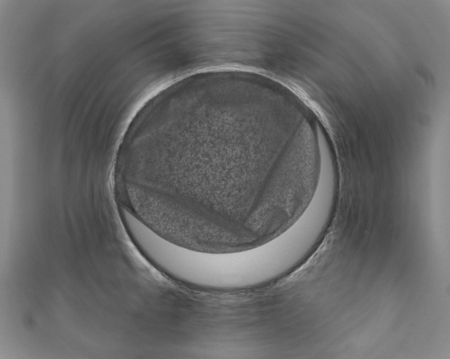 X0000110941189200907101241