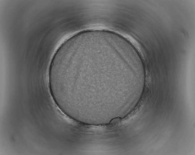 X0000110941191200907101241