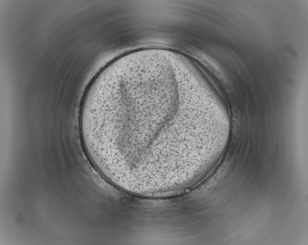 X0000110941192200907101241