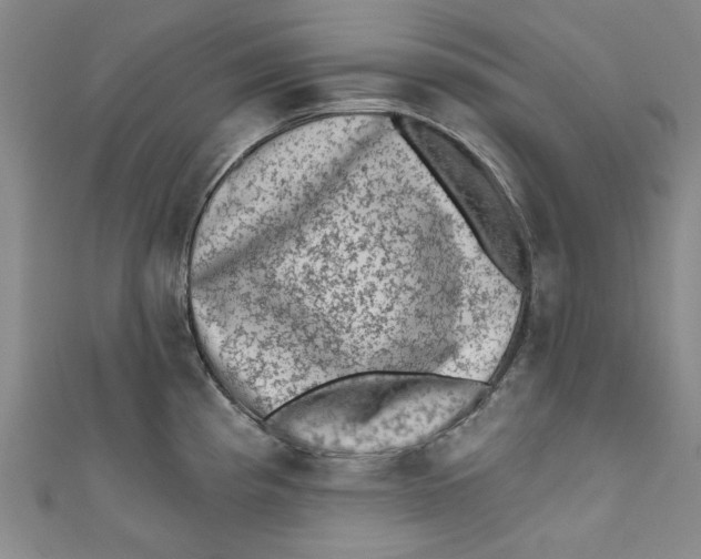 X0000110941193200907101241