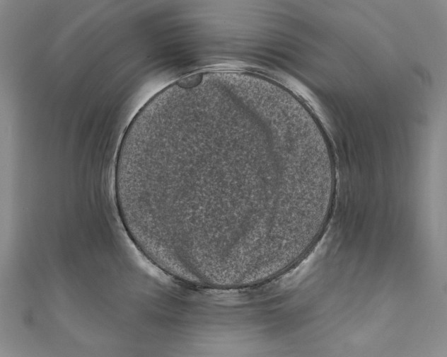 X0000110941194200907101241