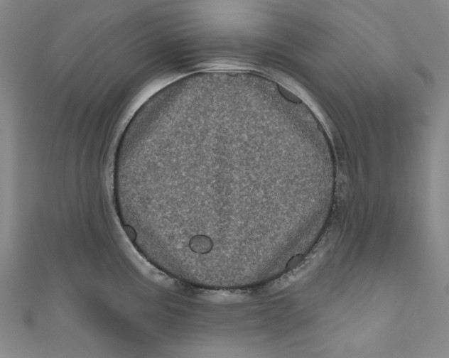 X0000110941195200907101241