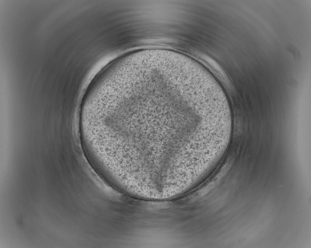 X0000110941196200907101241