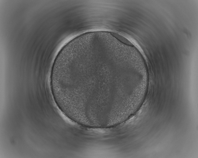 X0000110941197200907101241