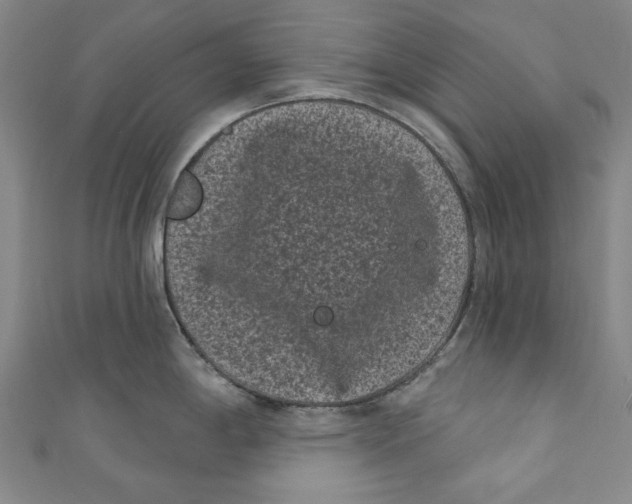 X0000110941198200907101240