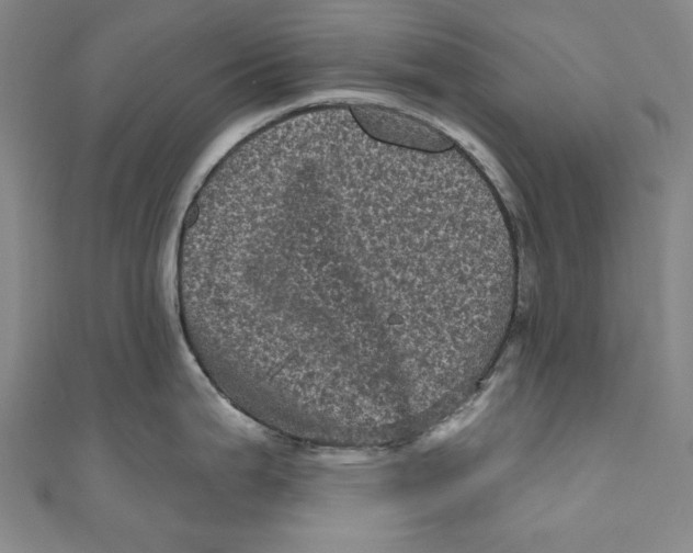 X0000110941199200907101240