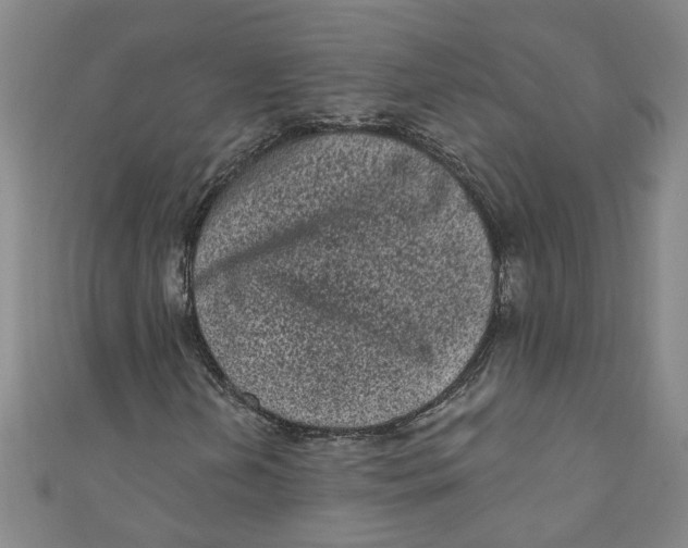 X0000110941202200907101240