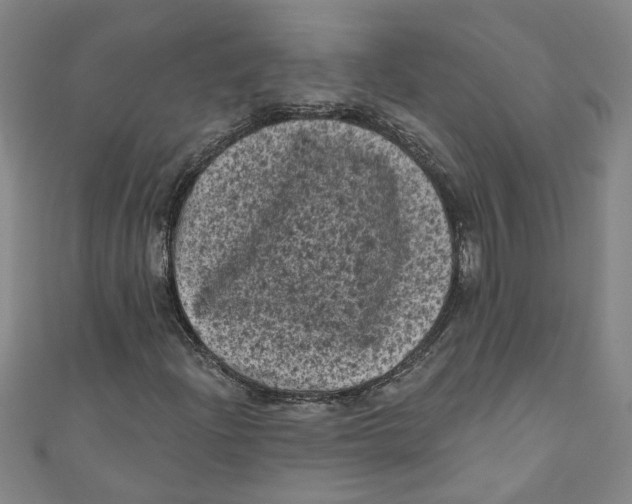 X0000110941204200907101240