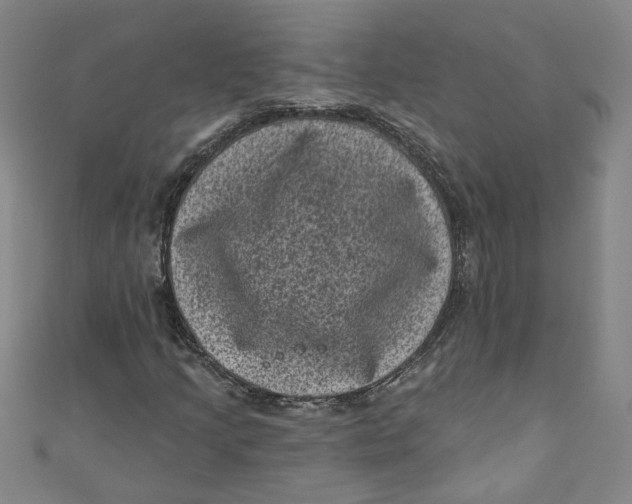 X0000110941205200907101240