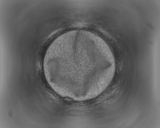 X0000110941206200907101240