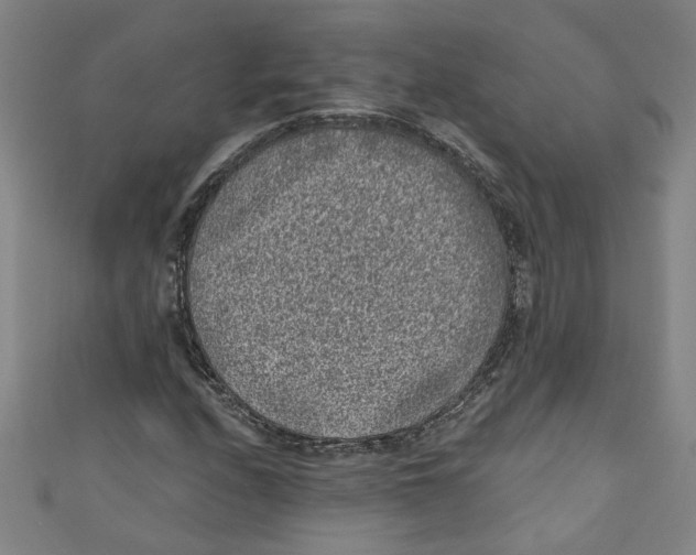 X0000110941208200907101240