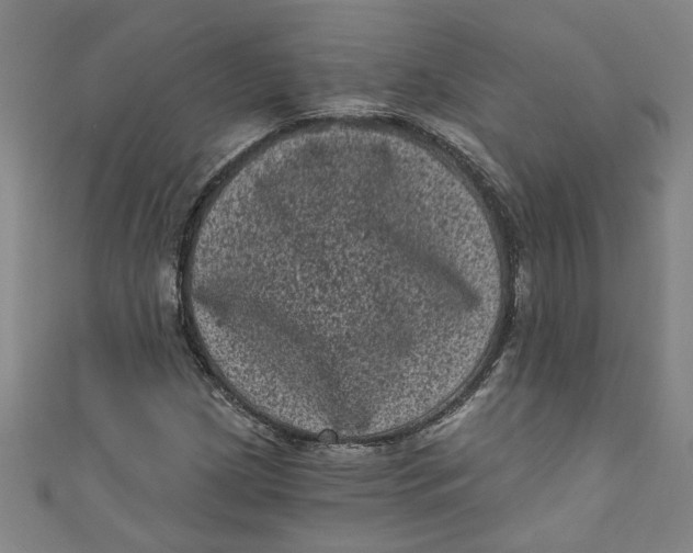 X0000110941209200907101240