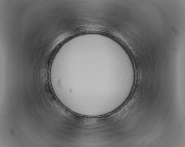 X0000110941211200907101240