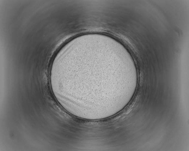 X0000110941212200907101240