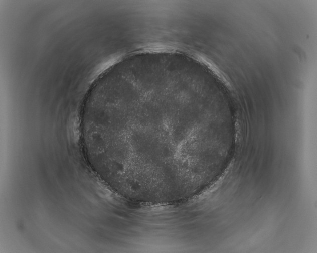 X0000110941213200907101240