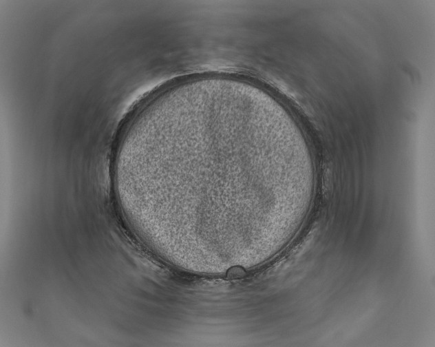 X0000110941214200907101240