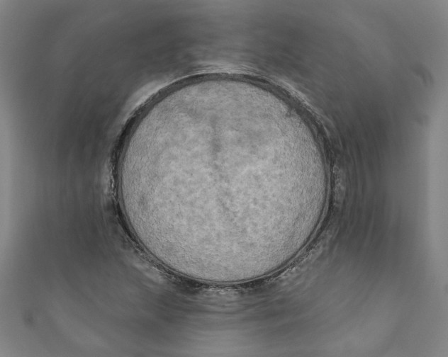 X0000110941215200907101240