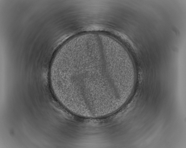 X0000110941217200907101240