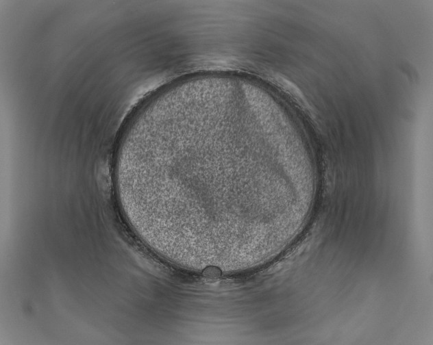 X0000110941218200907101240