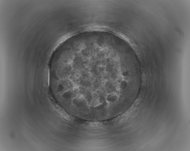 X0000110941219200907101240