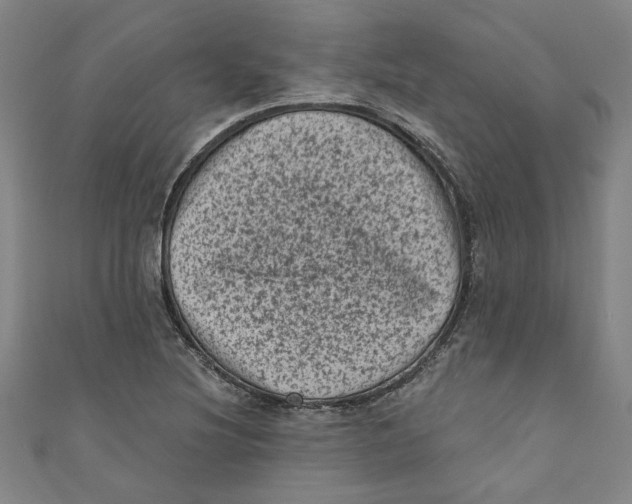 X0000110941220200907101240